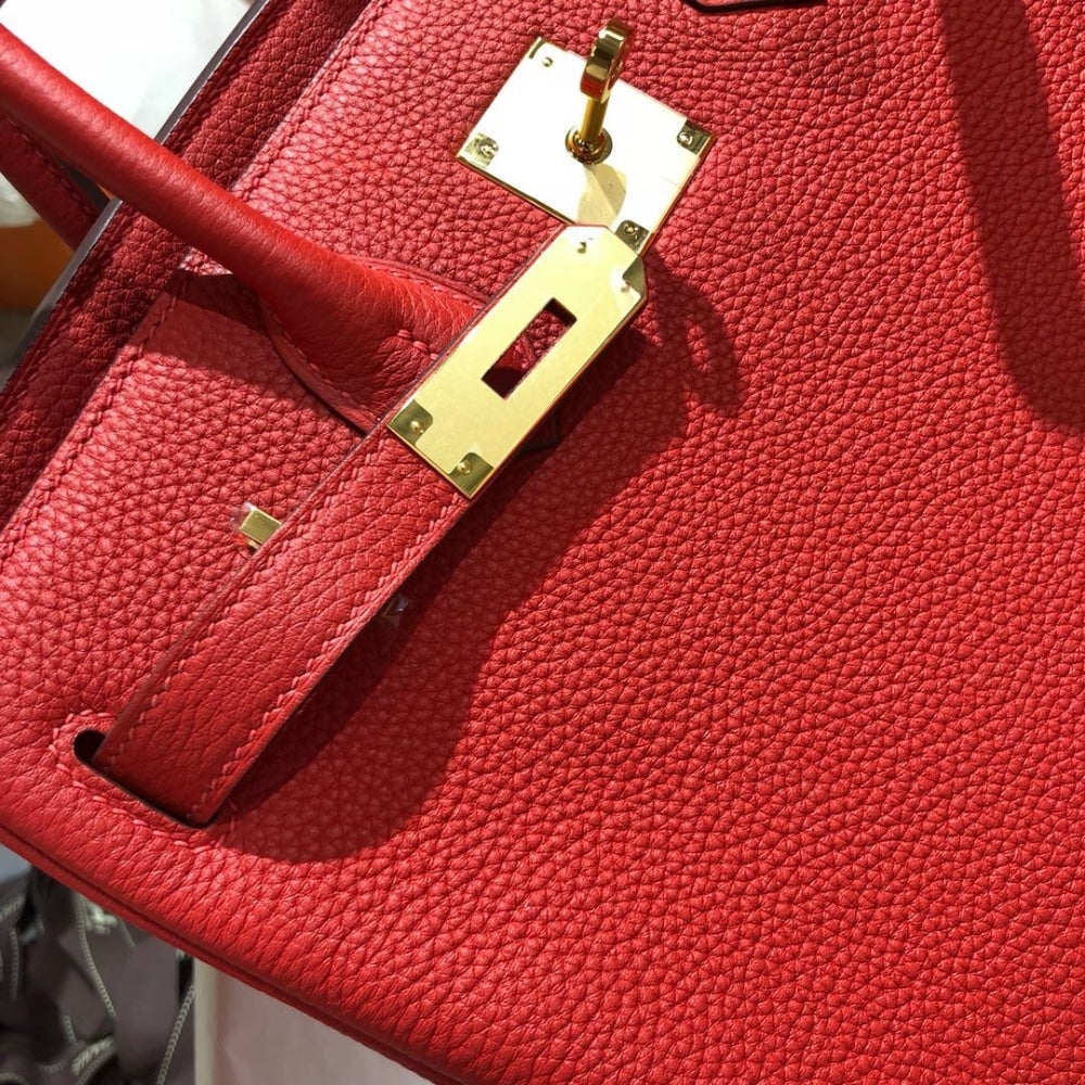 Hermes Birkin 25 Bag Togo Rouge Vermillon 25cm