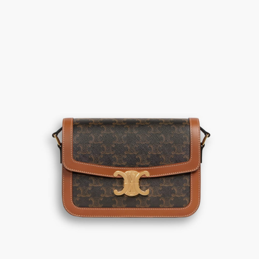 Celine Classique Triomphe Bag in Triomphe Canvas 22cm 191242BZ404LU
