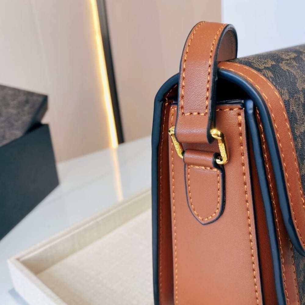 Celine Classique Triomphe Bag in Triomphe Canvas 22cm 191242BZ404LU