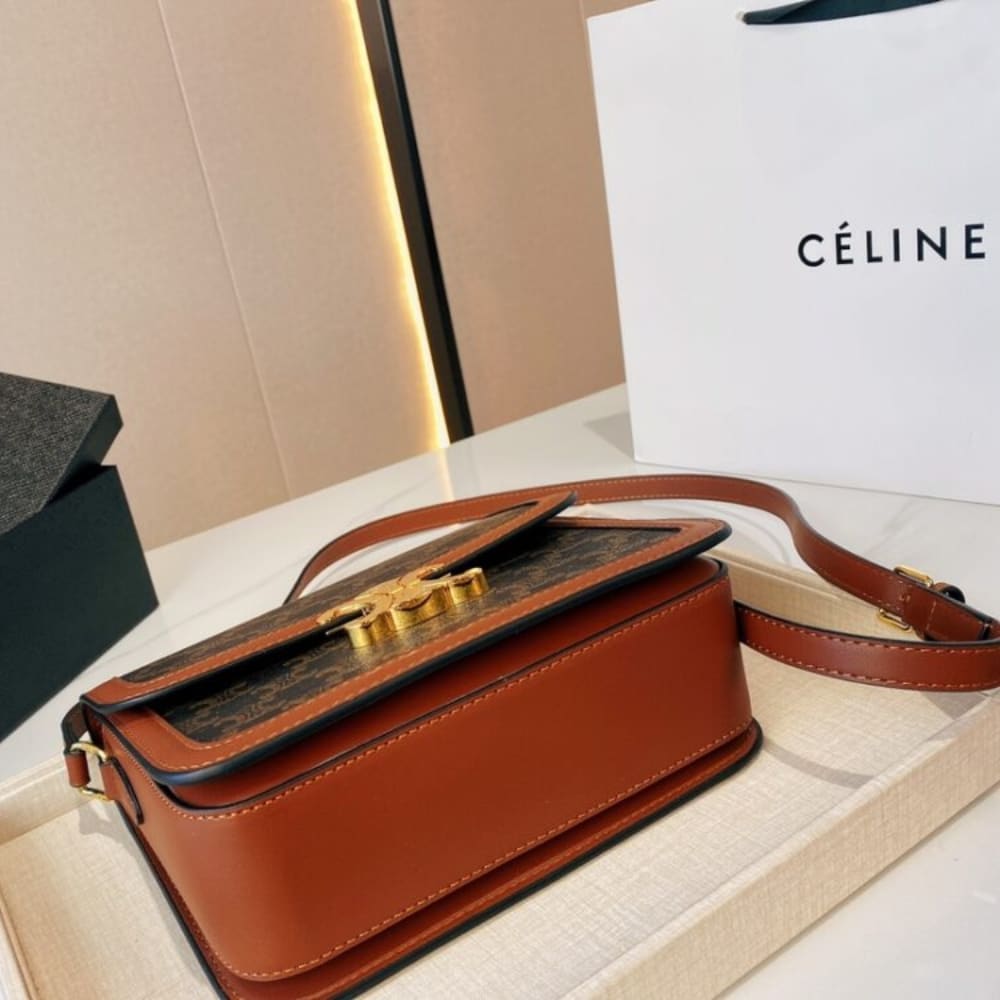 Celine Classique Triomphe Bag in Triomphe Canvas 22cm 191242BZ404LU
