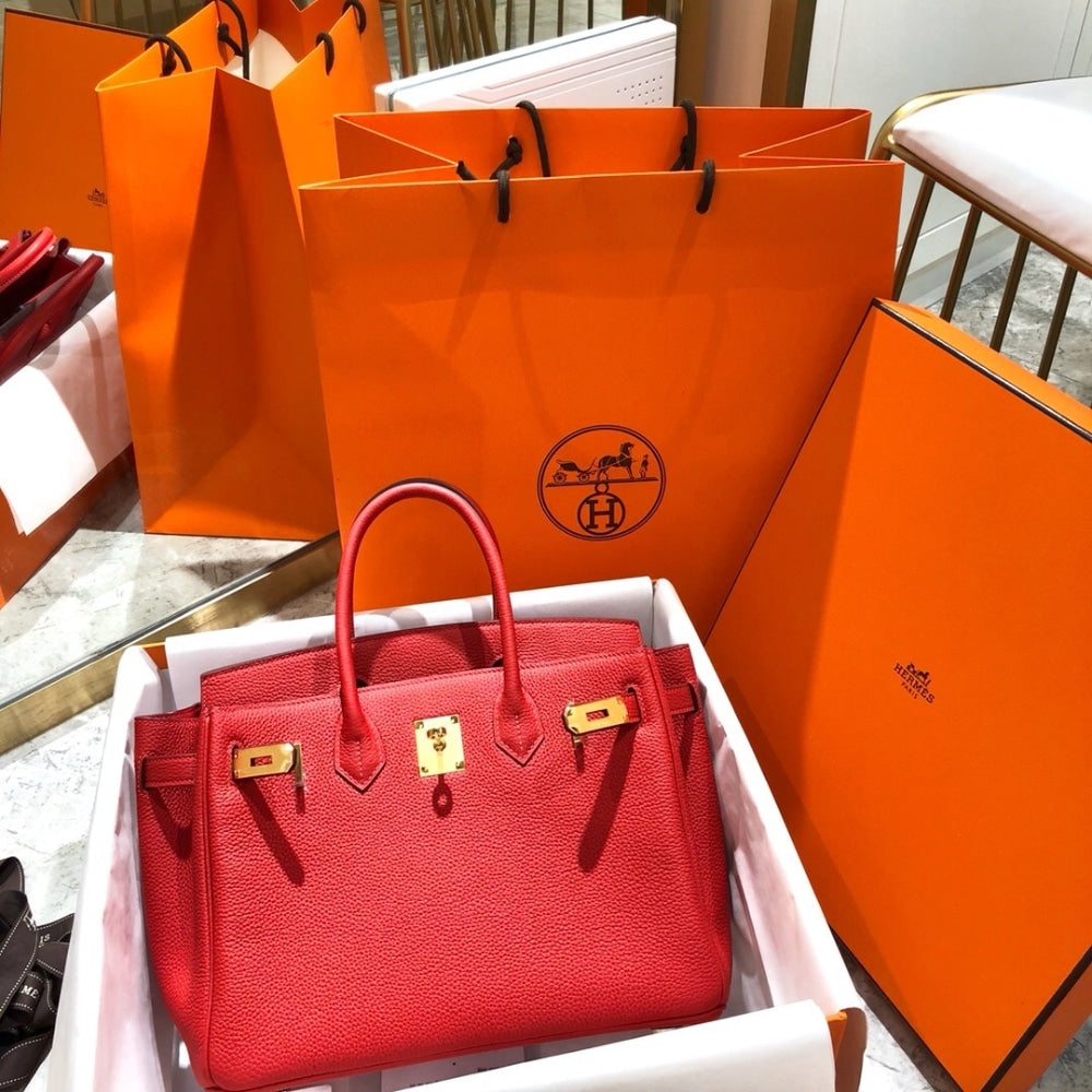 Hermes Birkin 25 Bag Togo Rouge Vermillon 25cm