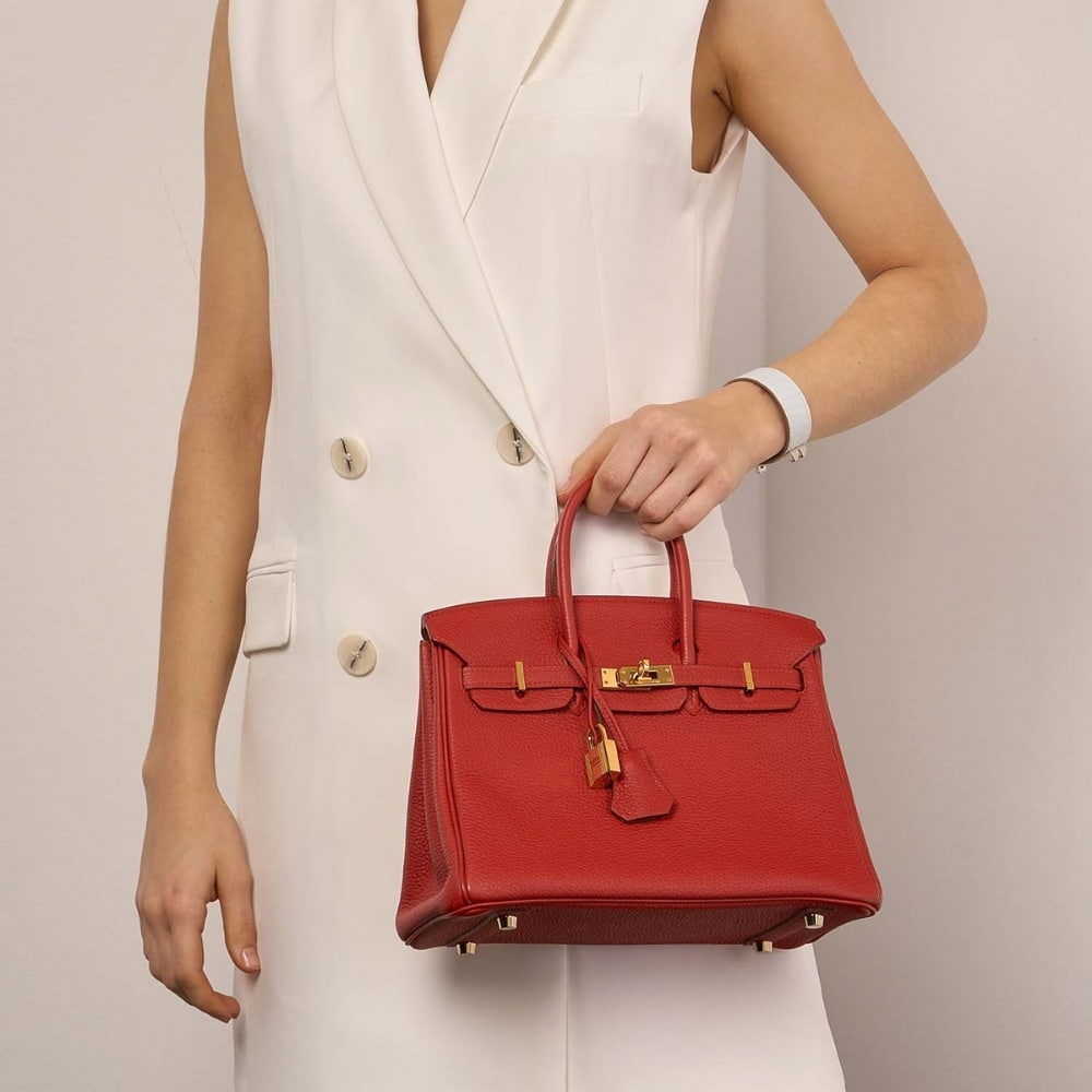 Hermes Birkin 25 Bag Togo Rouge Vermillon 25cm