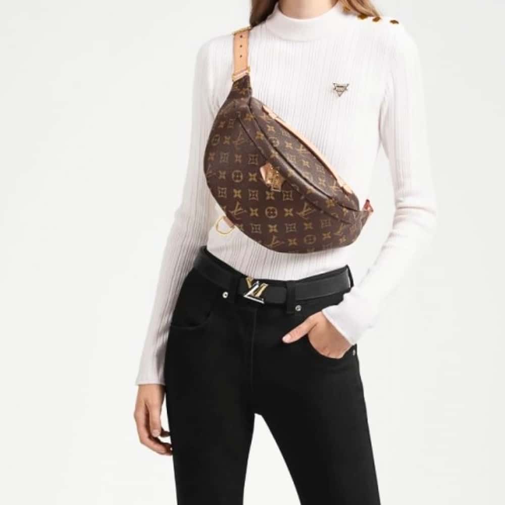 Louis Vuitton Monogram Bumbag 37cm M43644